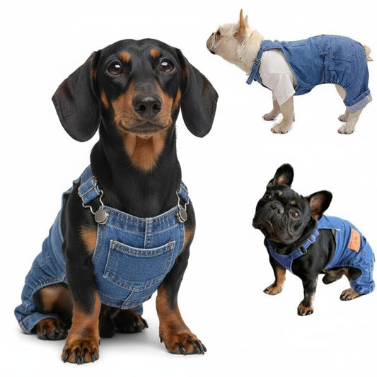 New Style Breathable Pet Overalls,Comfortable and Cute Dog Jumpsuits, Pet Clothing for Dachshunds and French Bulldogs, Halloween Puppy Funny Role Play Costume Suitable for Small Dogs
